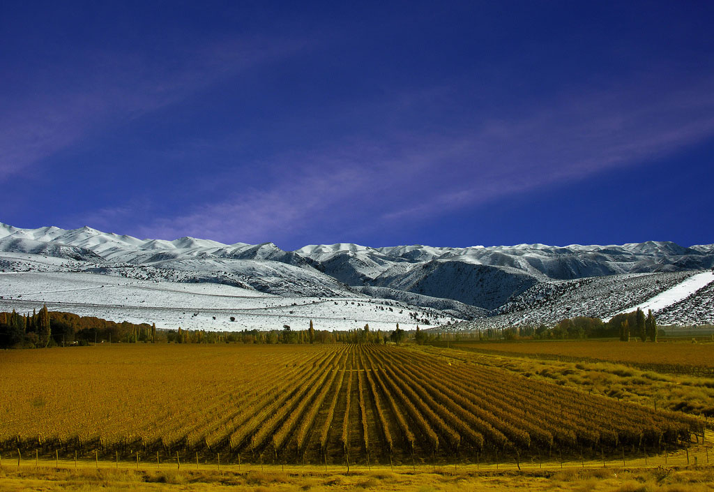 Argentina - Wild West Meets Luxury In Mendoza Wine Country - The Lux