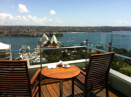 opera cafe intercontinental sydney