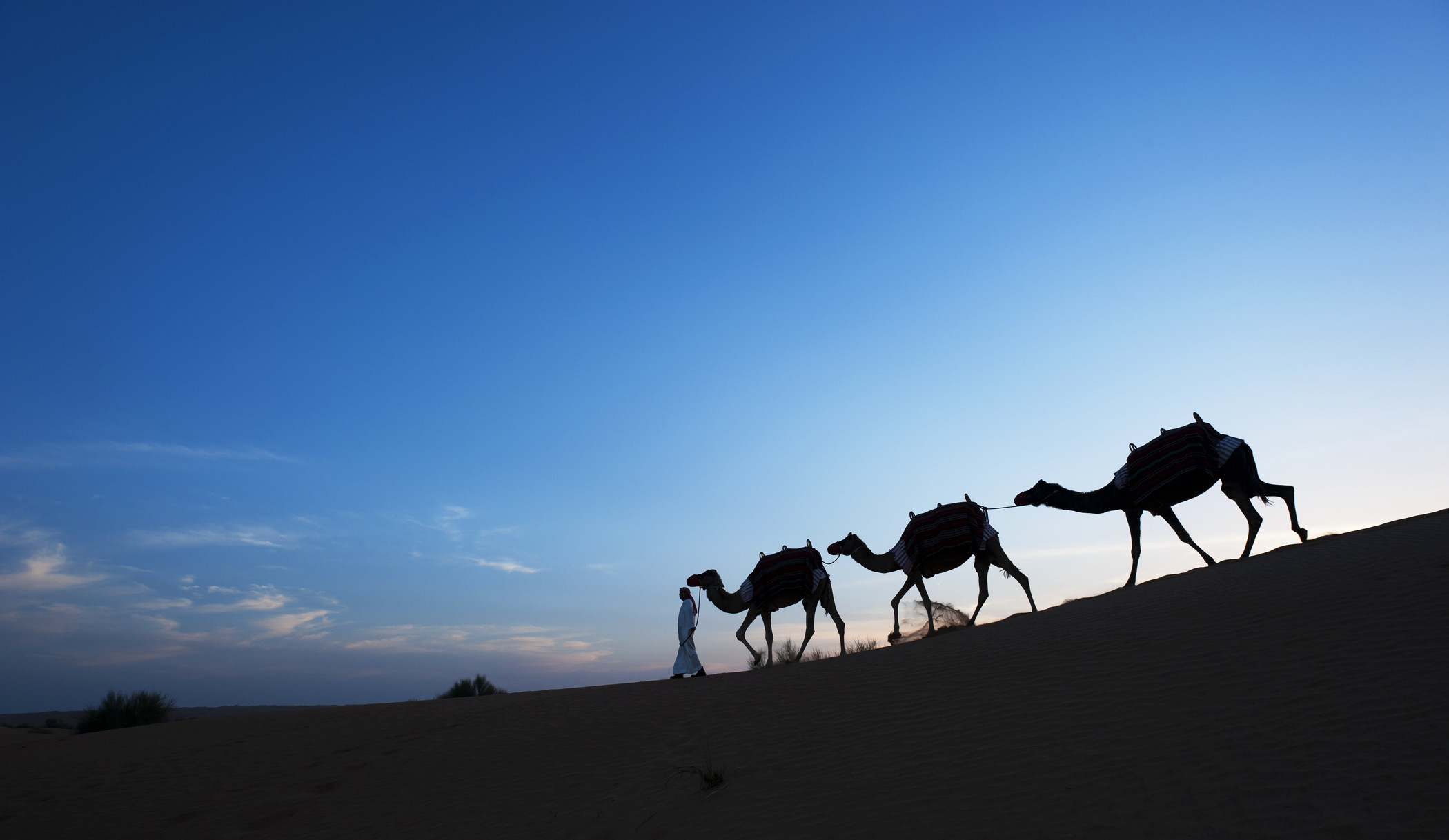 Al Maha-Camel trekking