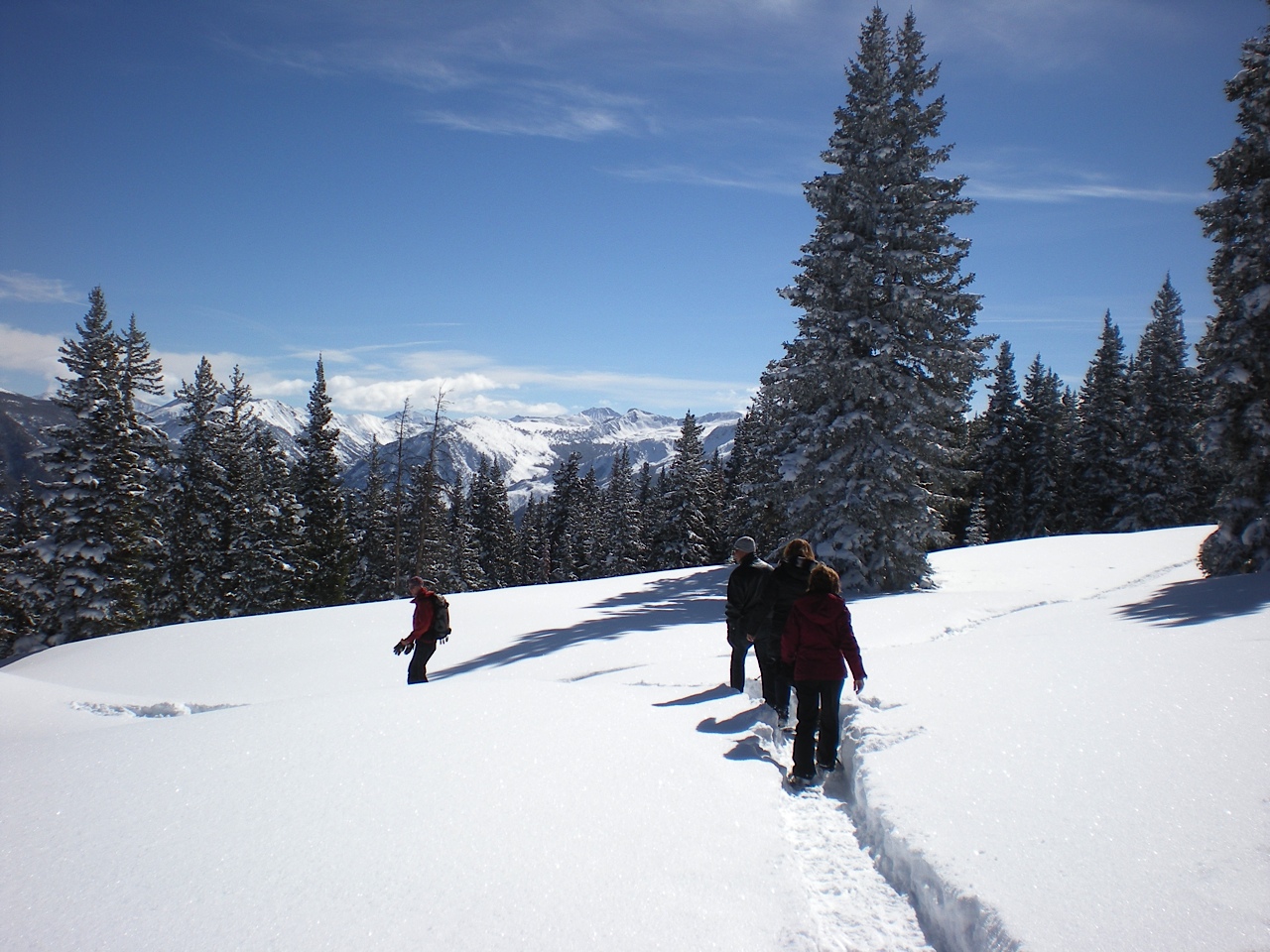 Aspen-mountain-snowshoeing