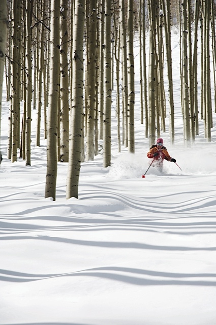 Park-City-Aspen-Tree-Skiing