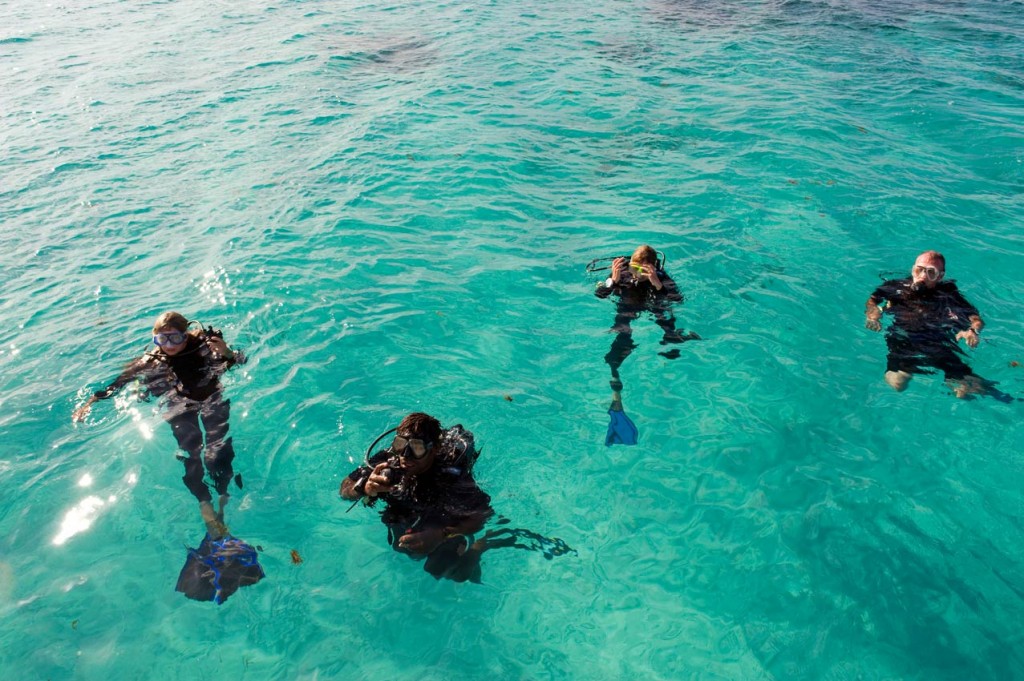 diving-wetsuits-indigolodges