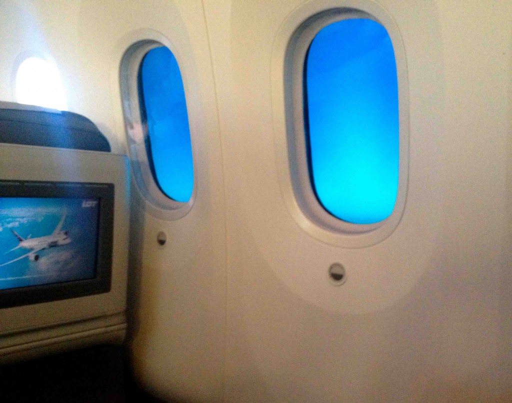 LOT Airline windows
