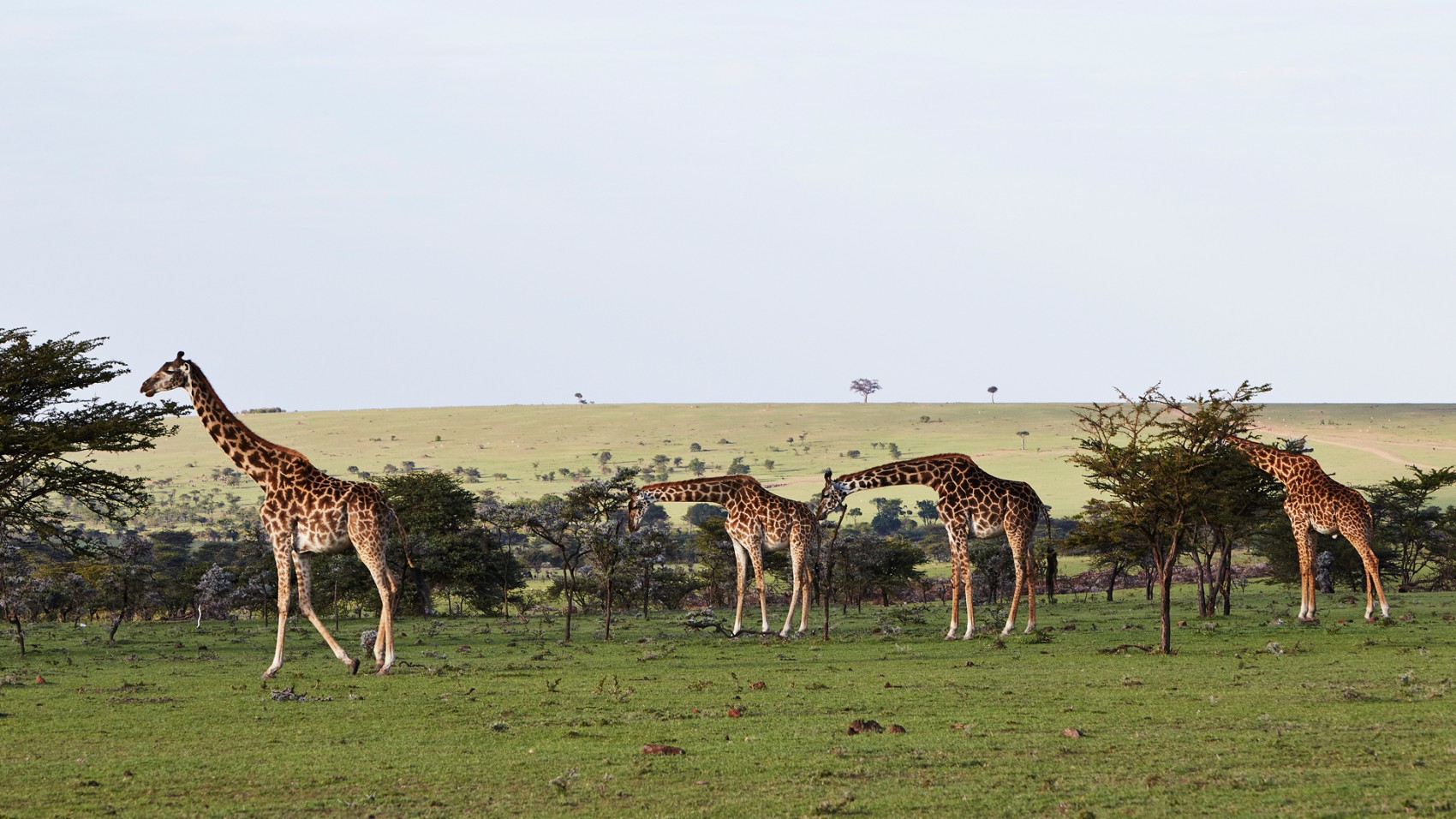 -Olare-Mara-Kempinski-Masai-Mara